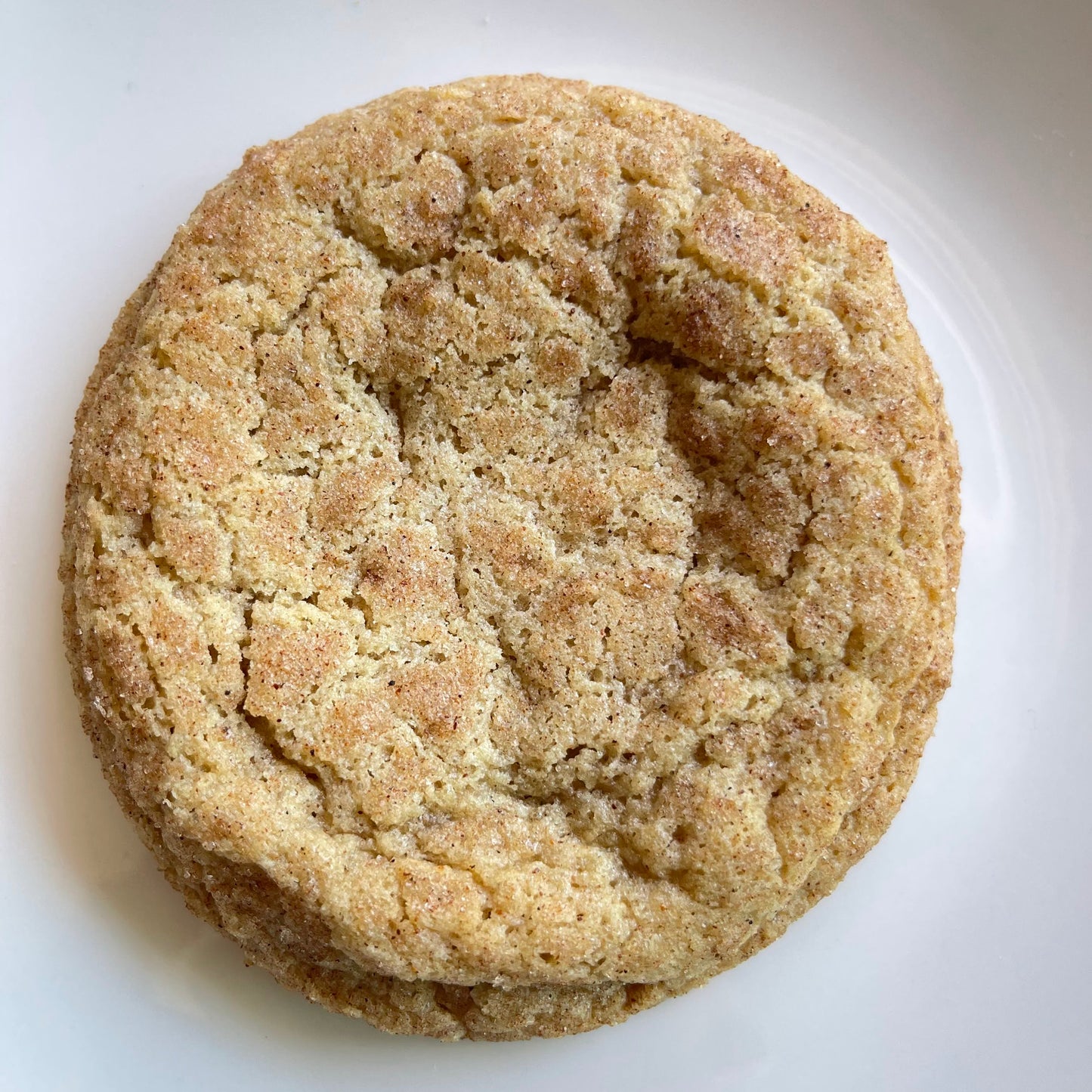 Snickerdoodle - Frozen 4 Pack