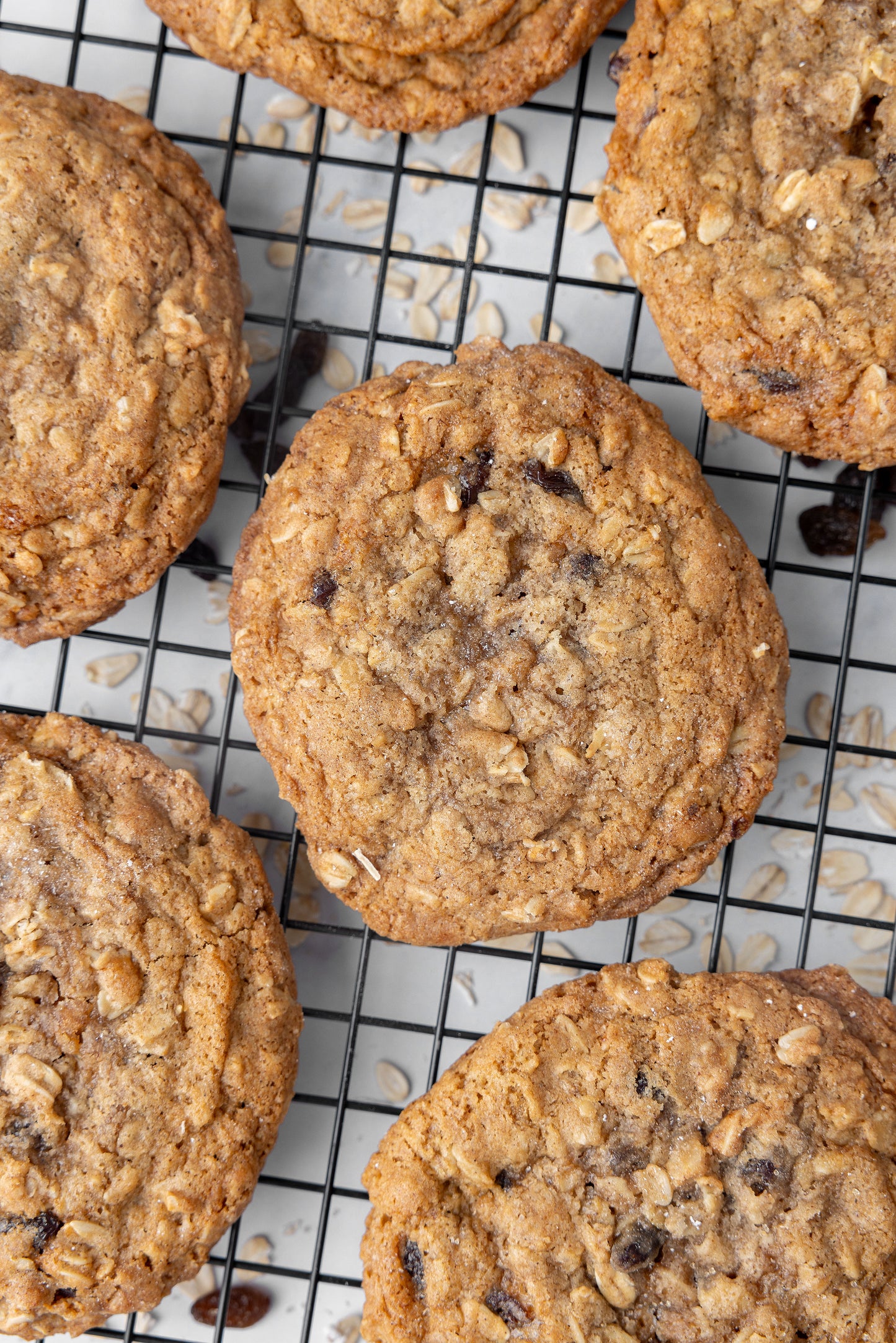 Oatmeal Raisin - Baked 6 Pack