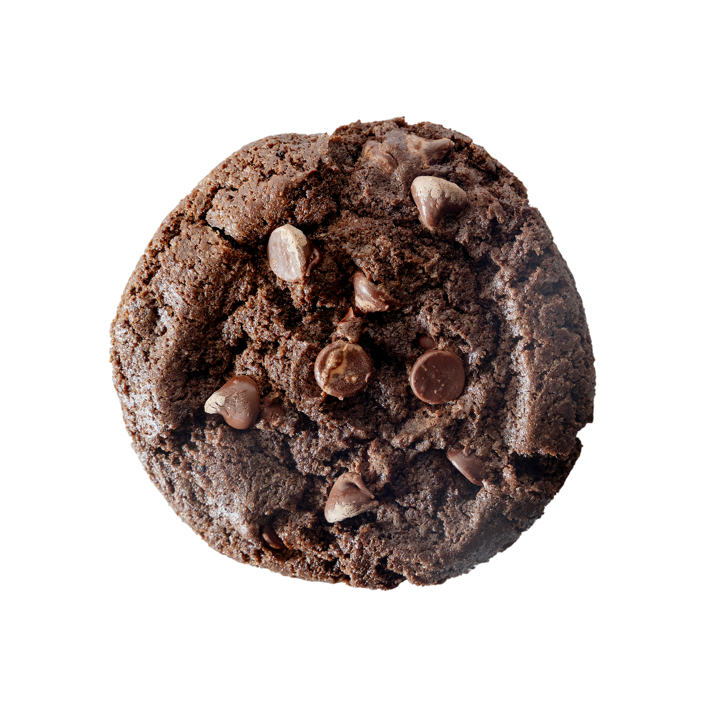 Double Chocolate Fudge - Baked 6 Pack